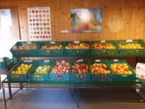 Diverse schweizer Äpfel